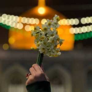 صبا سرابی