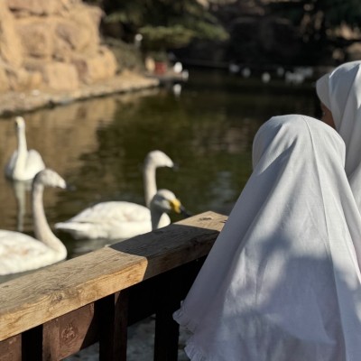 سفر به سرزمین بالها؛ گزارشی از اردوی دانش آموزی باغ پرندگان