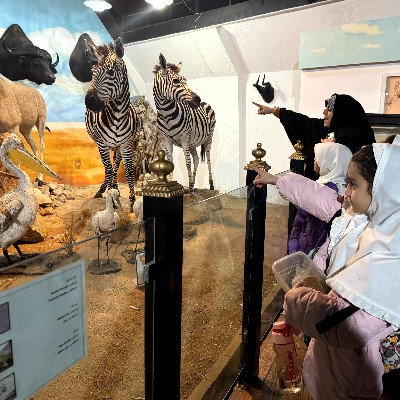 موزه حیات وحش