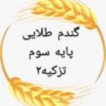 فارسی -سوم- یکشنبه98/12/11