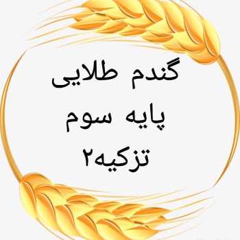 پیامی از قرنطینه ی خانگی برای تمام جنگل های دنیا !