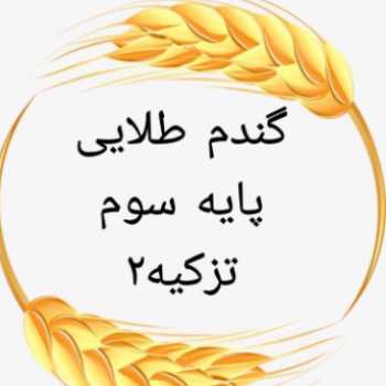 🍃فارسی ،پایه سوم،شنبه ١٣ اردیبهشت🍃