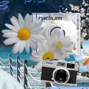 نیایش حمزه‌