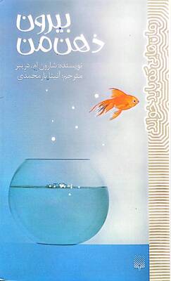 بیرون ذهن من